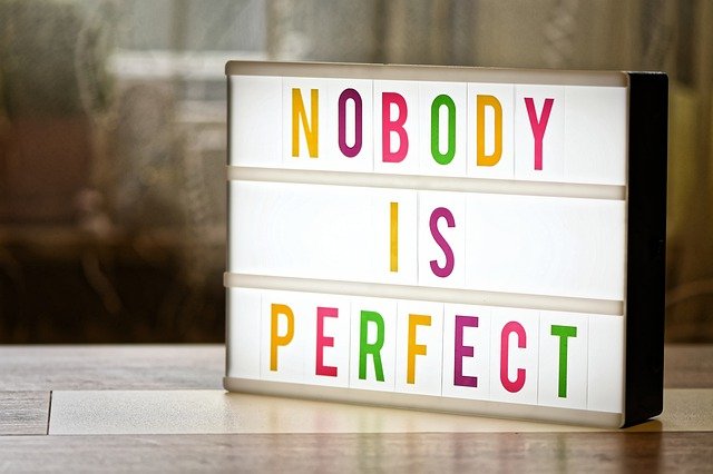 nobody-is-perfect
