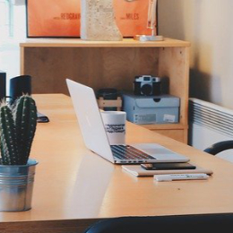 法人設立に必要な事項を決める（合同会社編）